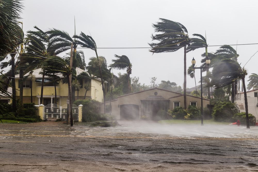 HURRICANE AND WIND-DAMAGE CLAIMS