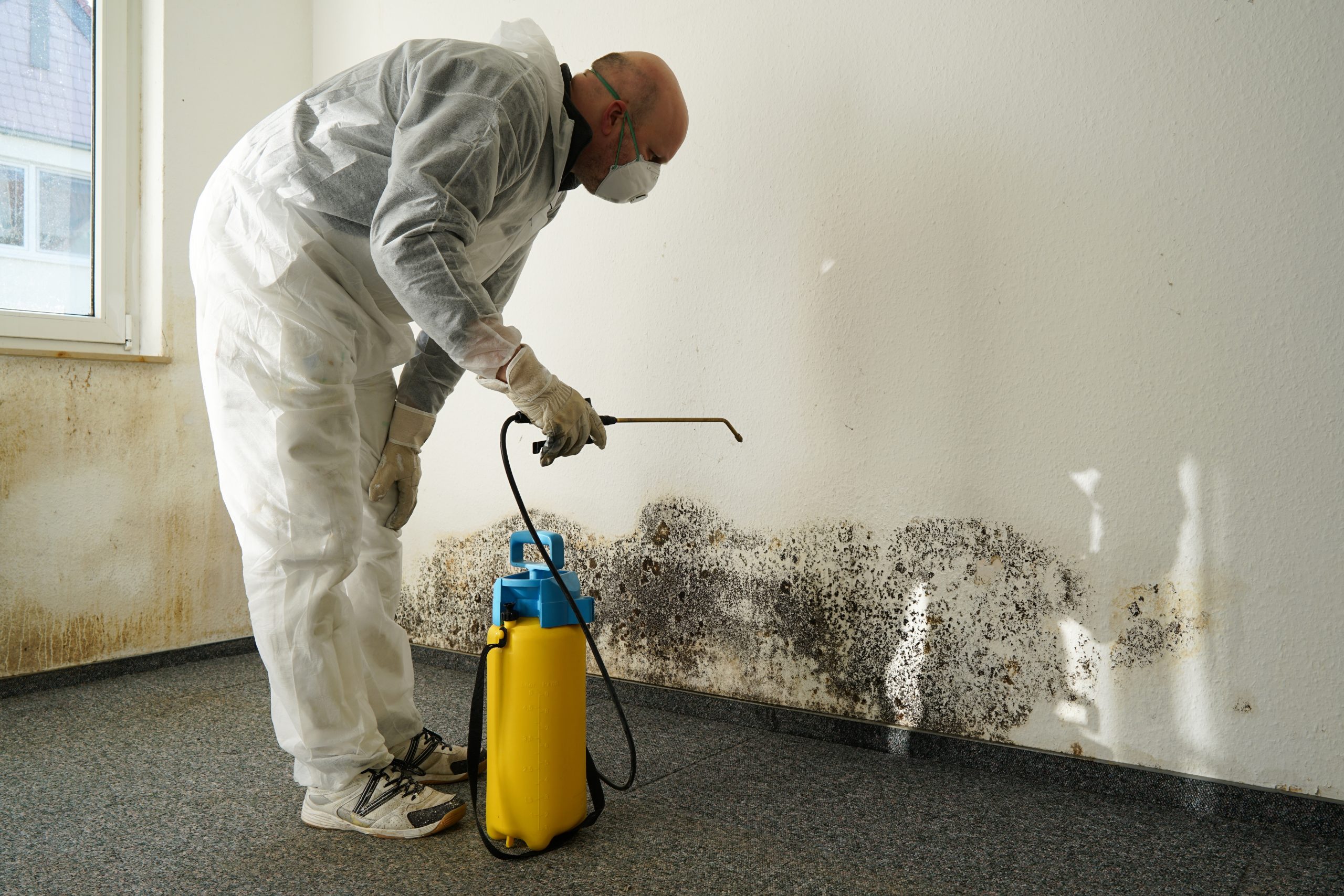 MOLD DAMAGE CLAIMS